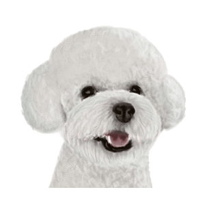Trimschema Boomer Asian Fusion