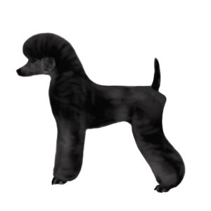 Trimschema Poedel T-Clip / German Clip