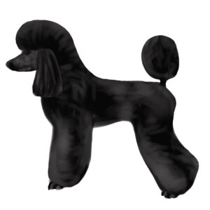 Trimschema Poedel Modern Toilet