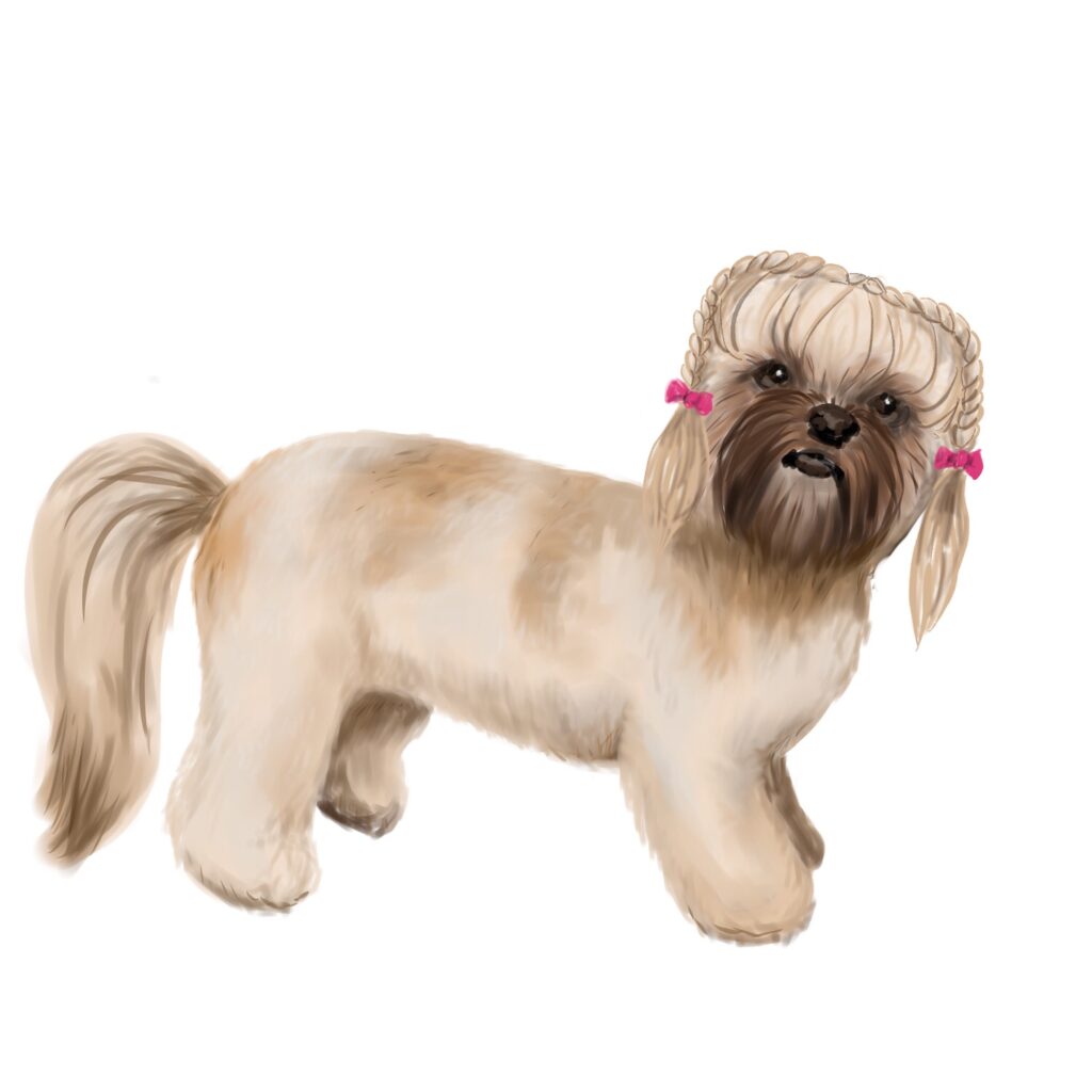 Vlecht over het hoofd